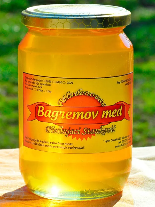 Pcela na cvetu bagrema