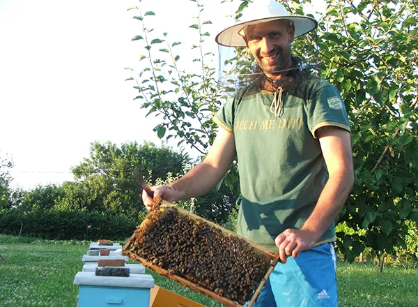 Pčelarski kalendar - život pčelara i zašto je pravi med dragocen