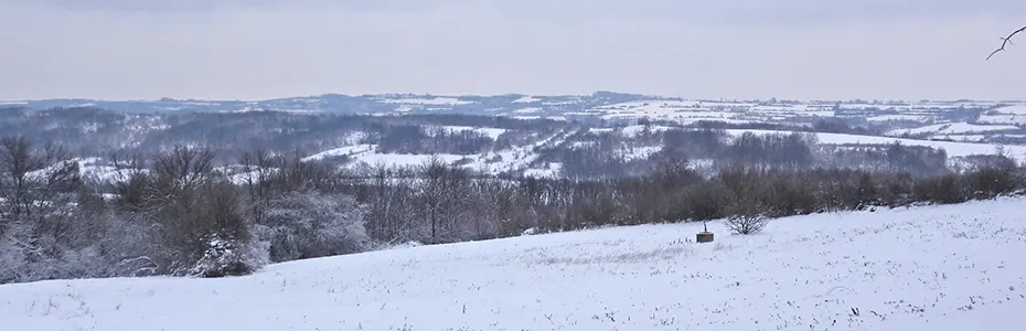 Priroda okovana snegom