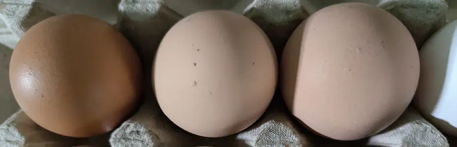 Kokošija jaja 