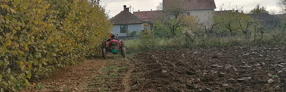 Novembar oranje baste