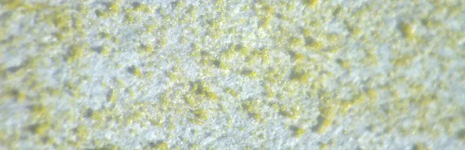 Polenova zrnca na papiru 