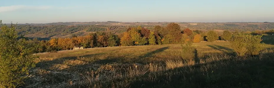 Priroda se sprema za zimski san