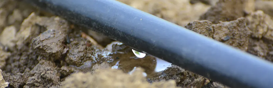 Kap po kap zalivanje