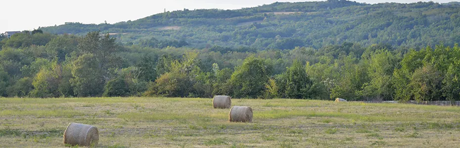 Putevima starih pastira