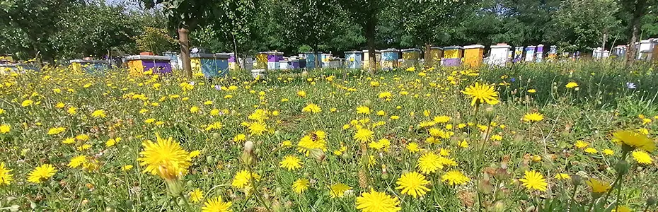 Osnovi ekologije