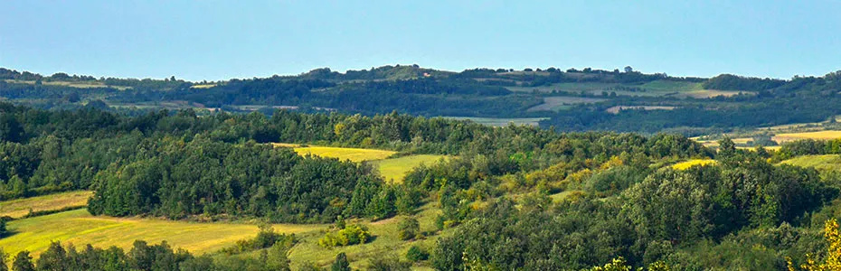 Šumadijskih brda - Mesto odakle potiče naša perga