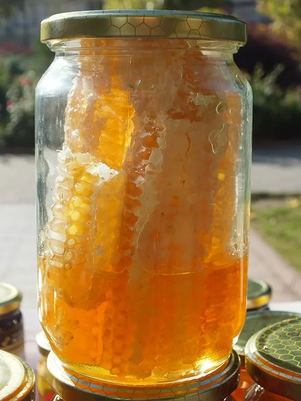 Najbolji komadi saća u bagremovom medu - 100% čista priroda 