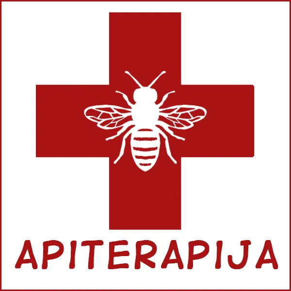 Apiterapija - Tekstovi