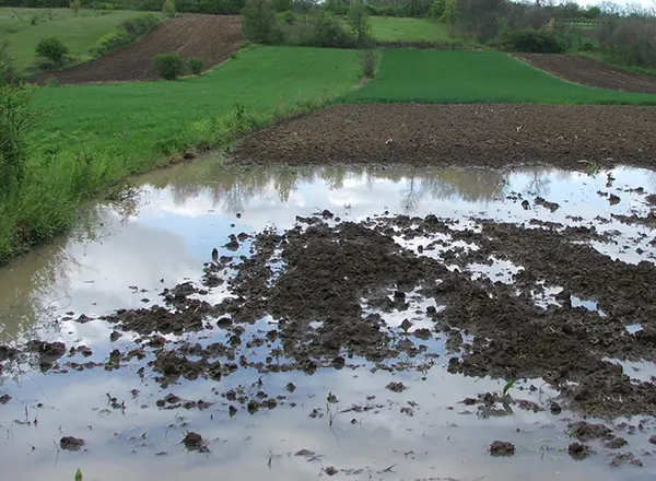 Majske poplave 2014 godine