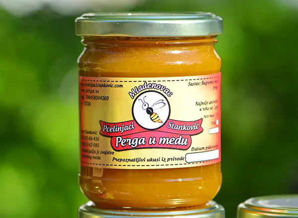 Osnovne karakteristike pčele