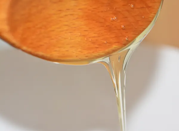 Medene kulinarske čarolije - ukusni slasni recepti sa medom