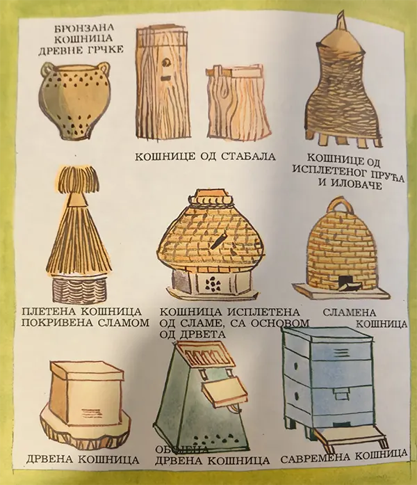 Slikovnica 1
