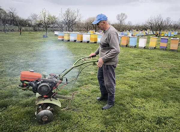 Seoska hrana kao lek