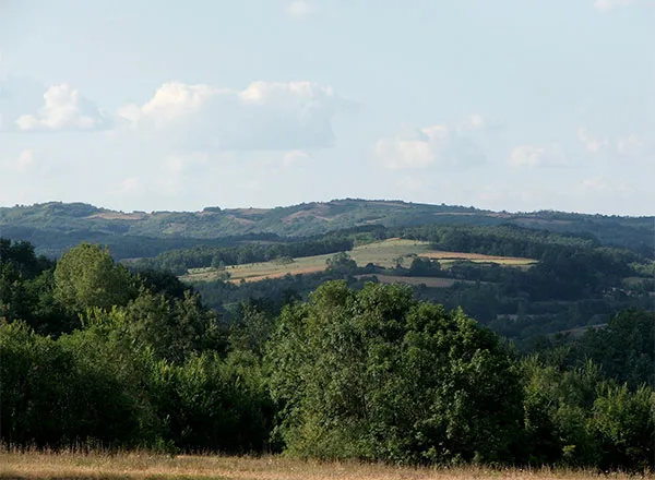 Šumadijska brda