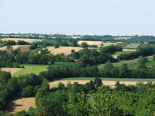 Šumadijska brda 