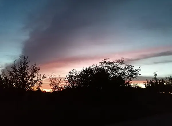 Noc na pcelinjaku
