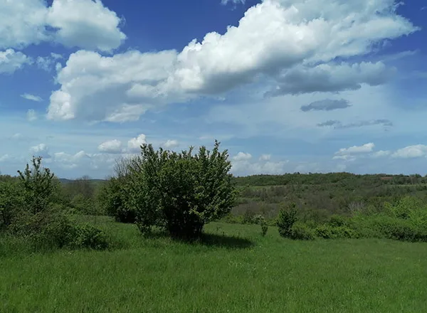  Stara dedina kuća